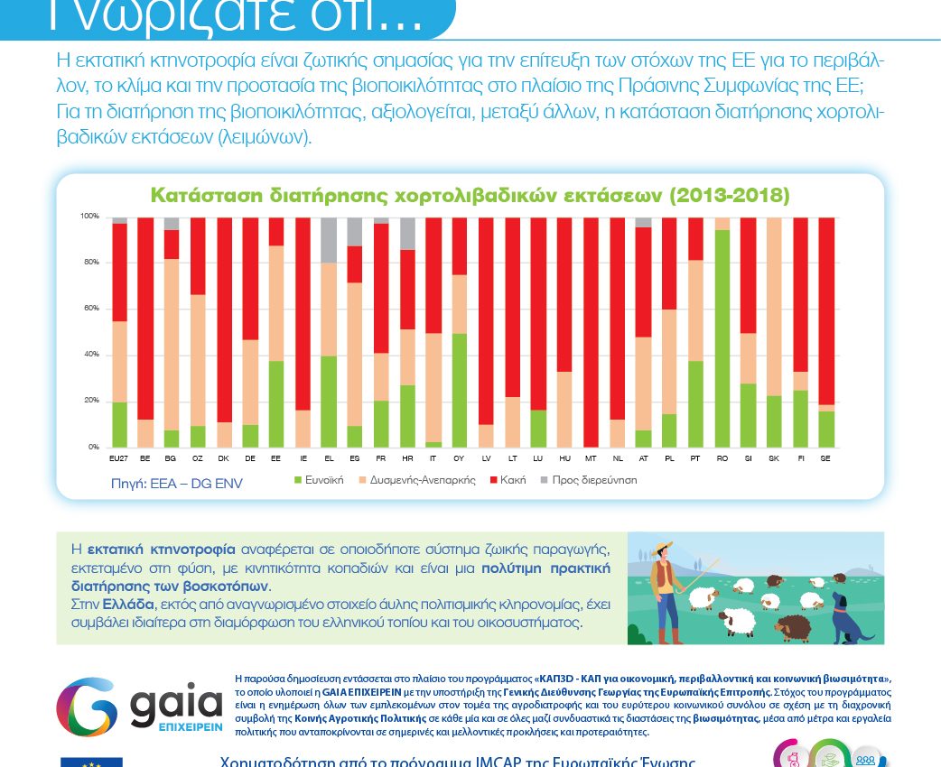 15th INFOGRAPHIC 3D CAP 500_500ok-01