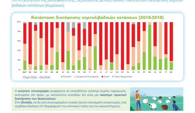 15th INFOGRAPHIC 3D CAP 500_500ok-01