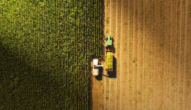 A,Jaguar,Type,Harvester,Working,With,A,John,Deere,Tractor