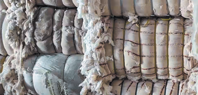 Ioannis Tsiforos_vamvaki_YX_29.9.2023-cotton