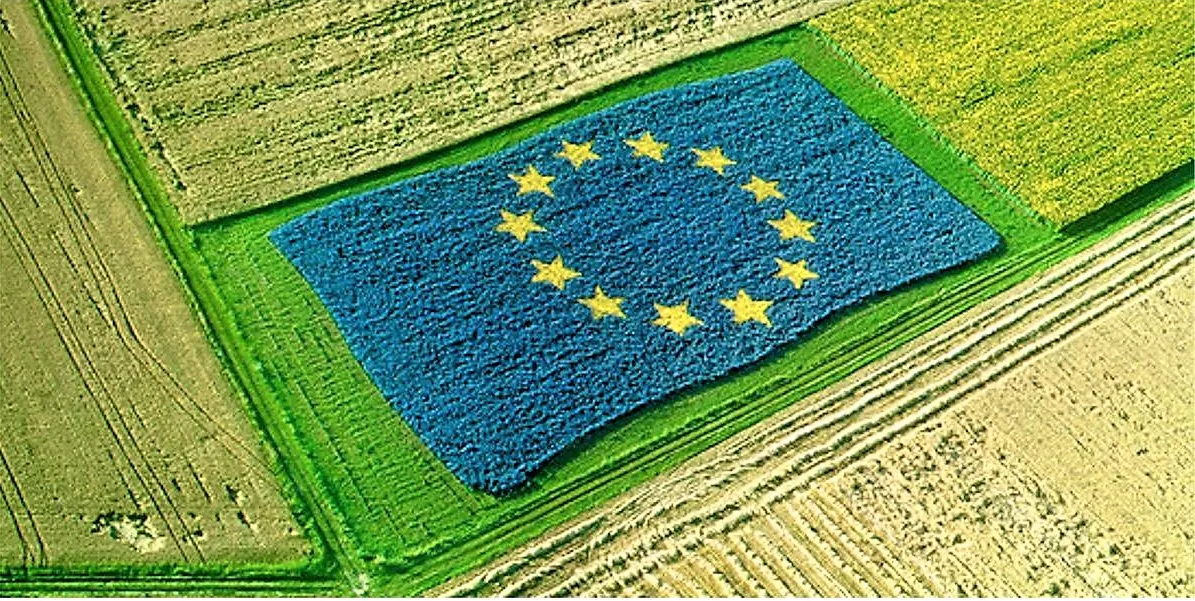 Common Agricultural Policy