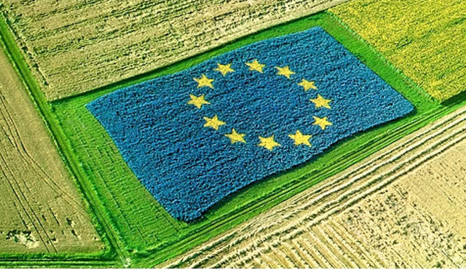 CAP-EU-flag