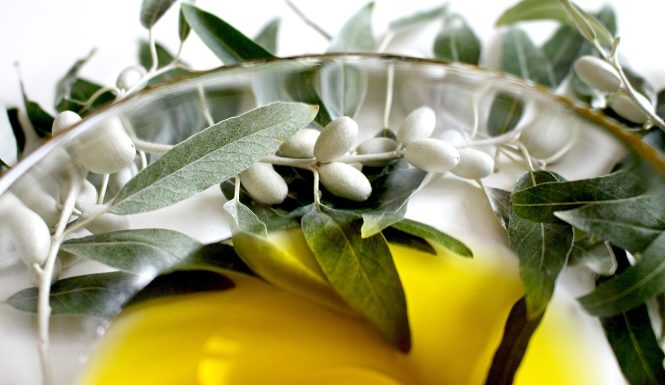 olive-2657694_1280