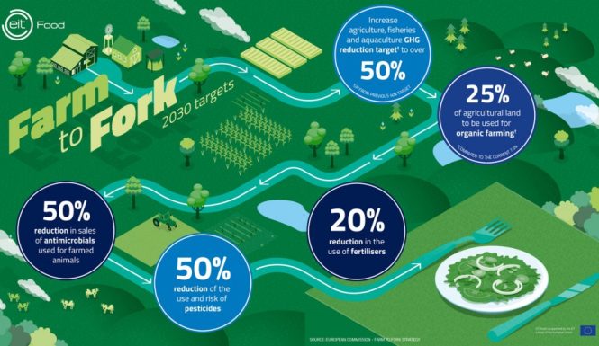 Farm-to-fork-Infographic-sml