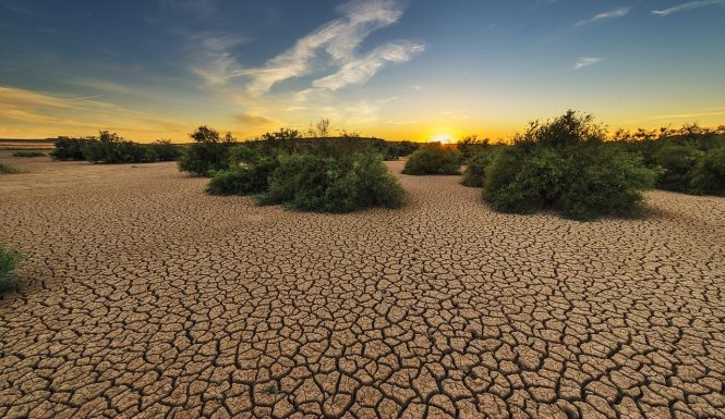 drought-1675729_1280