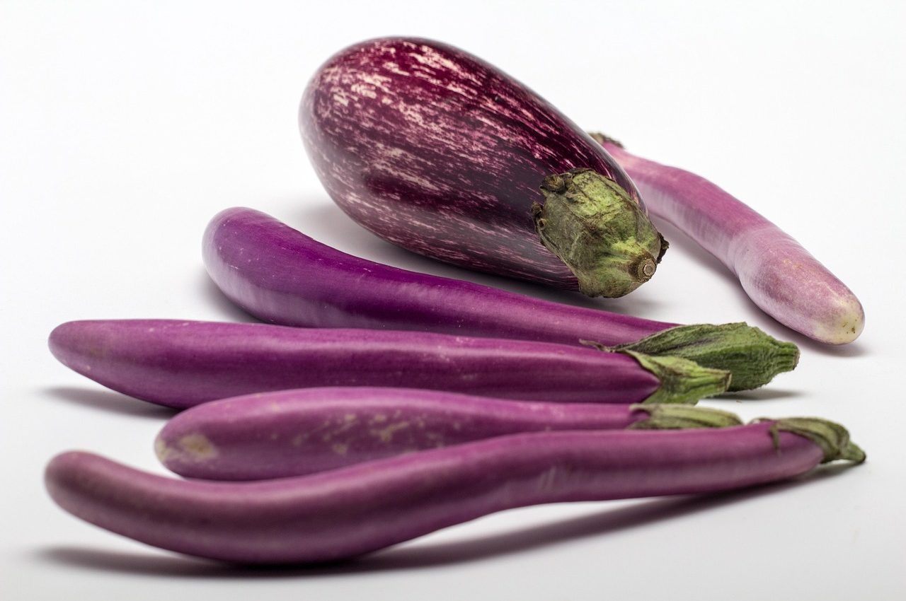 eggplant-839859_1280