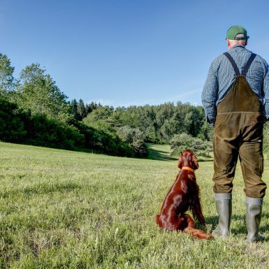 On,A,Sunny,Day,In,May,,A,Farmer,Stands,With