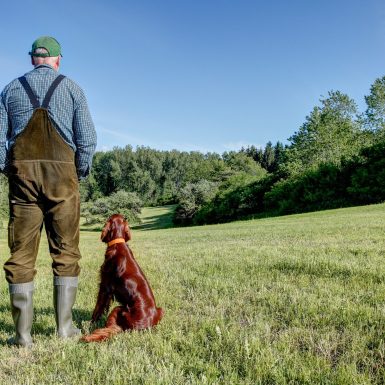 On,A,Sunny,Day,In,May,,A,Farmer,Stands,With