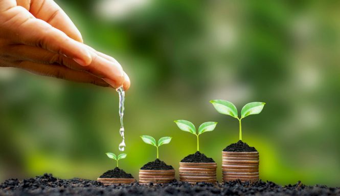farmer income slider